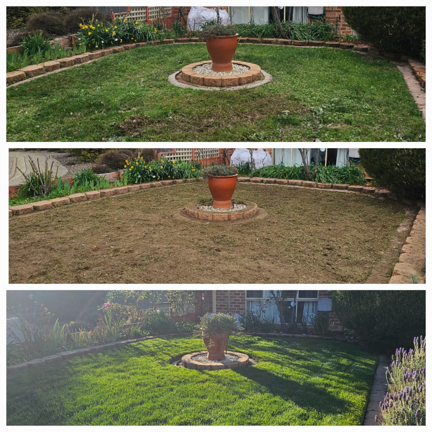 Lawn and Garden Maintenance